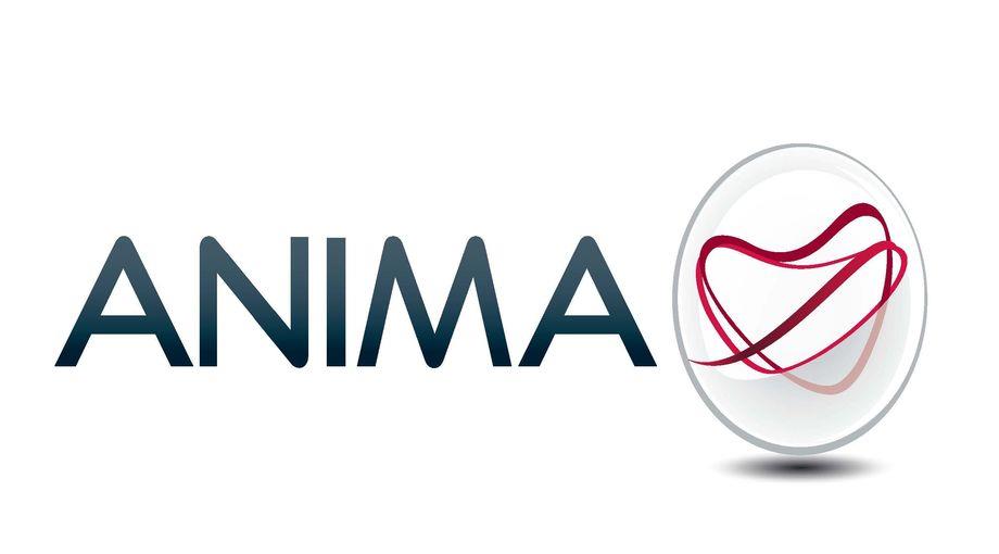Anima Holding, raccolta dicembre favorevole: 170 milioni di euro
