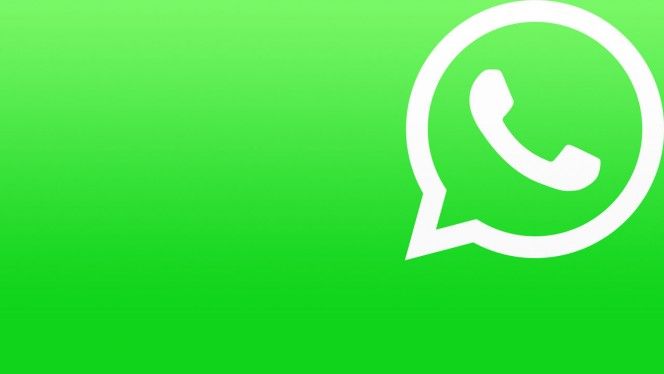 WhatsApp inarrestabile: 700 milioni di utenti attivi mensili, Jan Koum gongola