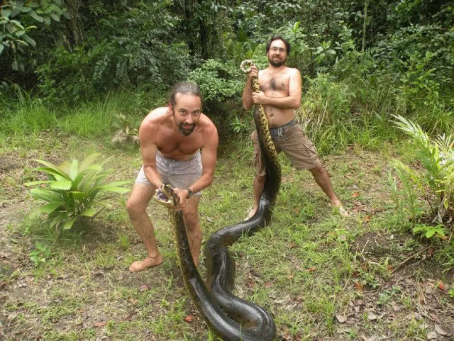 Anaconda gigantesca ingoia cucciolo di cane: catturata da Sebastien Bascoules
