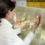 Sarai colpito da tumore al polmone? Scoprilo con tampone nelle guance