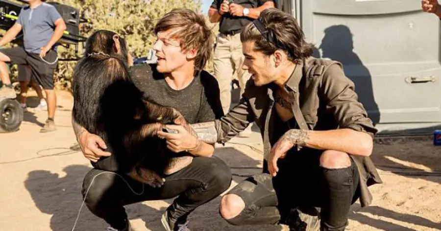 One Direction denigrati dalla Peta: maltrattano animali