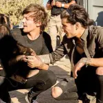 One Direction denigrati dalla Peta: maltrattano animali