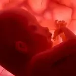Super amniocentesi, esame per scoprire 80% patologie genetiche