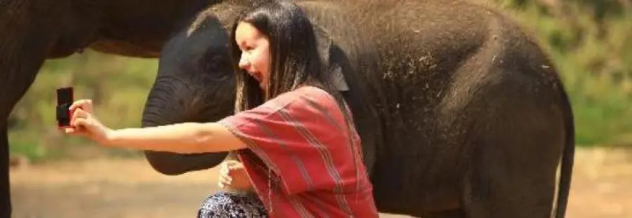 India, selfie fatale: 27enne schiacciata da elefante