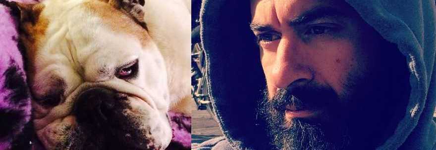 Verona: vede annegare suo cane, medico si tuffa e muore