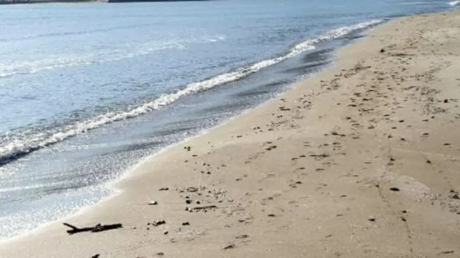 Chioggia, tenta di salvare suo cane e annega: Procura apre fascicolo