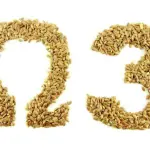 Omega-3 e invecchiamento