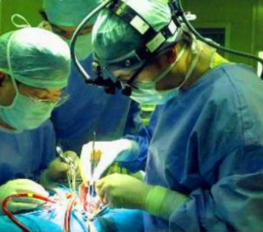 Sidney, trapiantati tre cuori 'morti' in persone colpite da arresto cardiaco