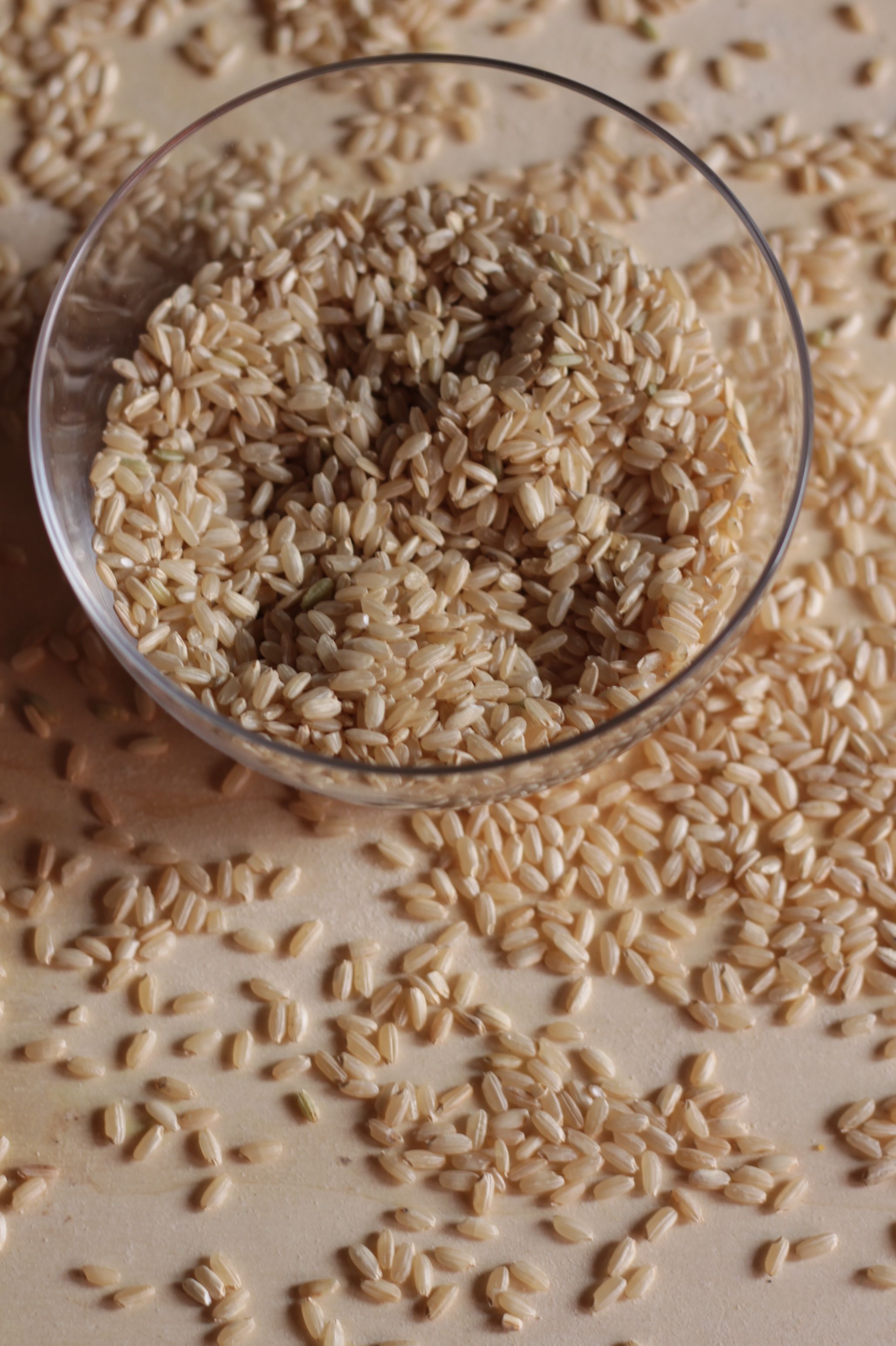 Cina, primato mondiale per cereali gettati: Usa battuti