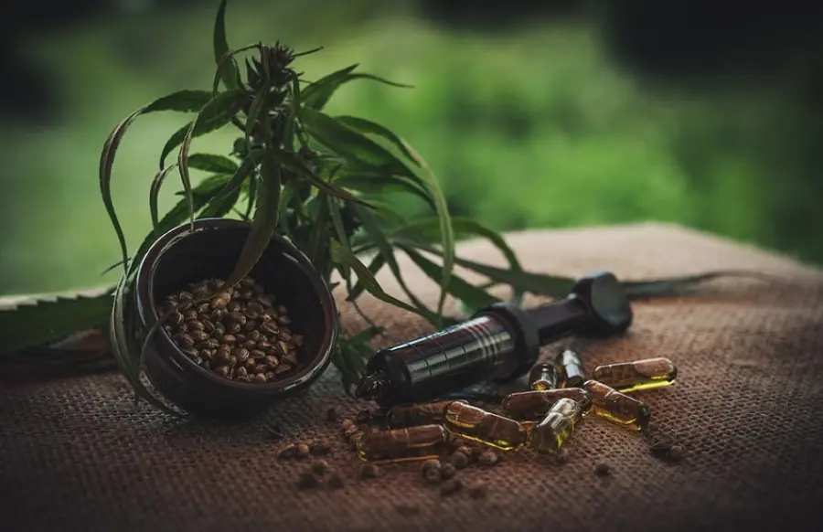 Effetti dell'olio di Cannabis sul nostro organismo