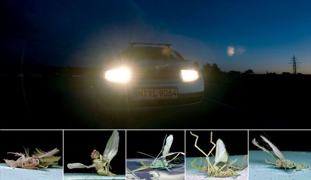 Da uno studio inglese risultano nel mondo 675 milioni di morti sulle strade ogni giorno