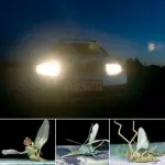 Da uno studio inglese risultano nel mondo 675 milioni di morti sulle strade ogni giorno