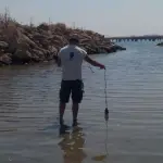 Goletta verde 2016: mare inquinato in Calabria e Sicilia