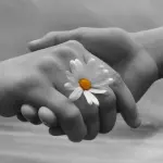 Donazione samaritana vitale per 4 persone