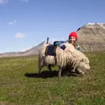 Sheep View 360: pecore per mappare Far Oer