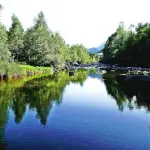 Cornaredo, si tuffa nel torrente e muore