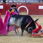 Torero ucciso dal toro durante corrida: non succedeva da 31 anni