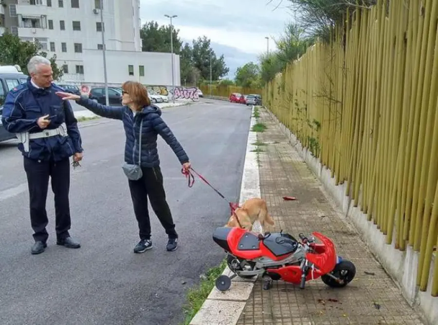 Minimoto: incidente sul circuito di Viadana, bimbo contro cancello