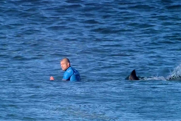 Surf, squali attaccano Mick Fanning a Jeffreys Bay