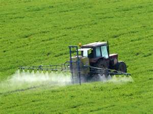 Pesticidi aumentano rischio diabete