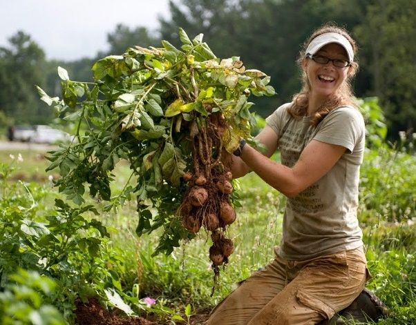 Giovani Agricoltori in Aumento