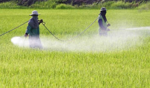 Boom Pesticidi sulle Tavole Italiane