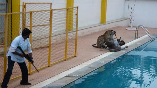 Leopardo Entra in Scuola Indiana