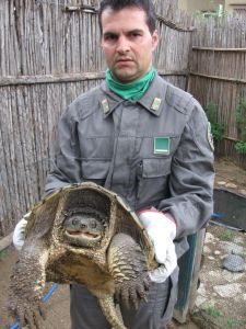 Saviano: oltre 100 Animali in Zoo Abusivo