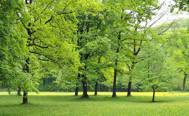 Vive di più chi risiede in campagna