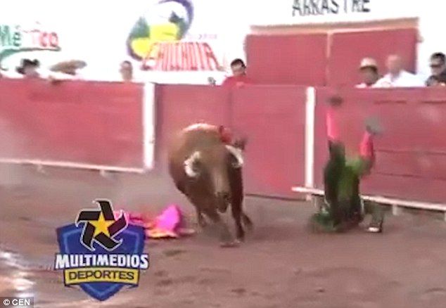 Messico, torero Rodriguez incornato