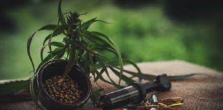 Olio di cbd